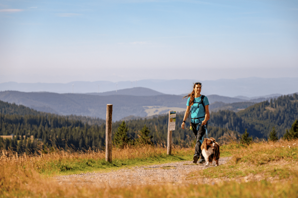 Spaziergang im Urlaub mit Hund im Schwarzwald