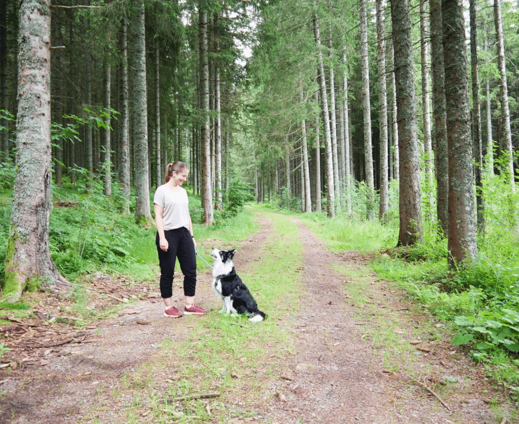 Urlaub mit Hund im Schwarzwald Hotel