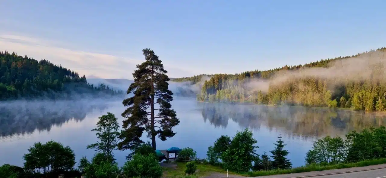 Urlaub im Schwarzwald