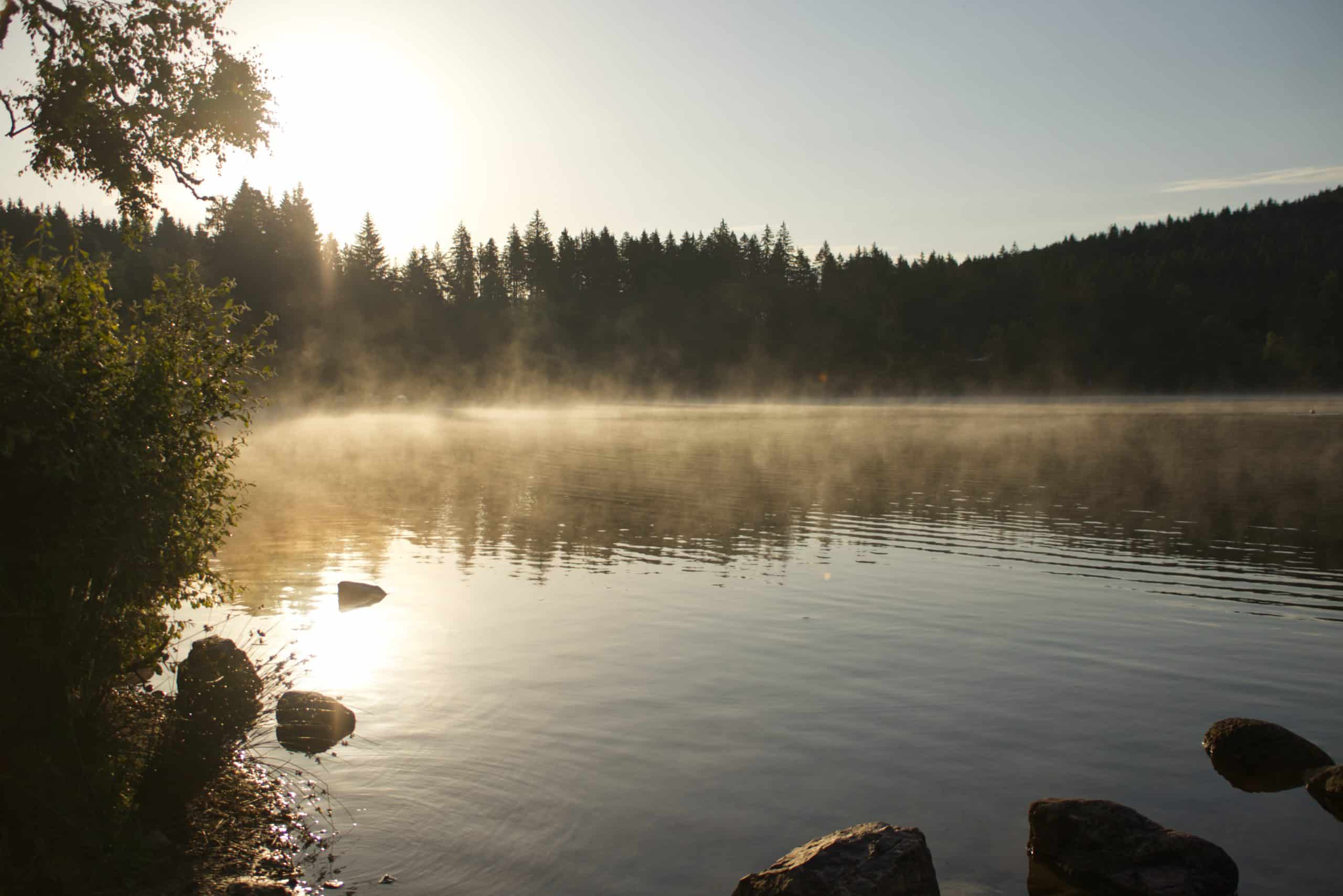 Morgenstimmung im Hochschwarzwald am Windgfällweiher