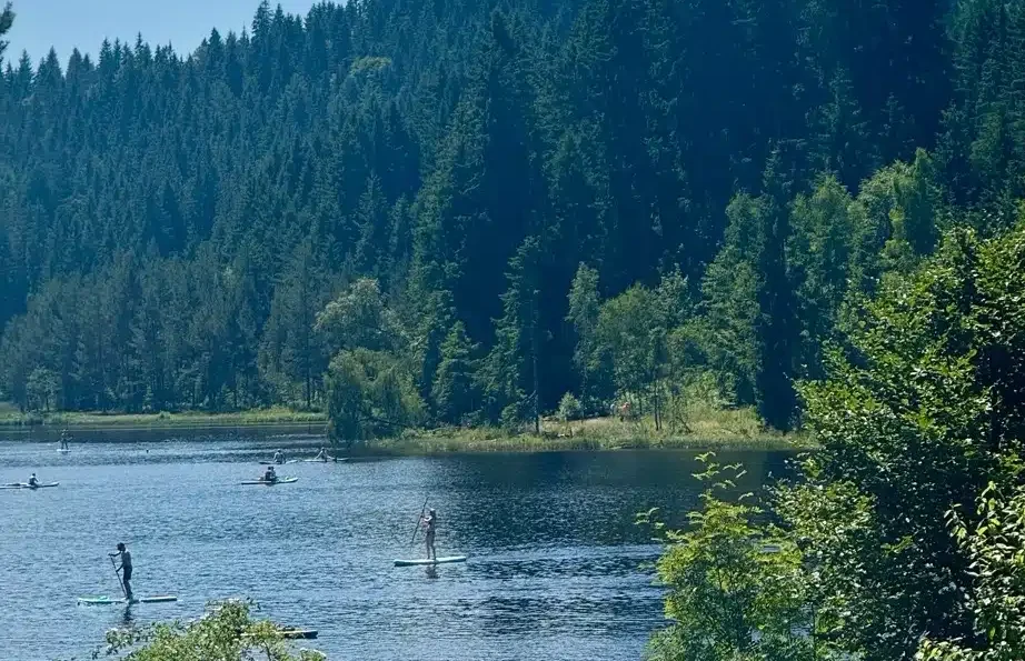 Windgfällweiher Hochschwarzwald