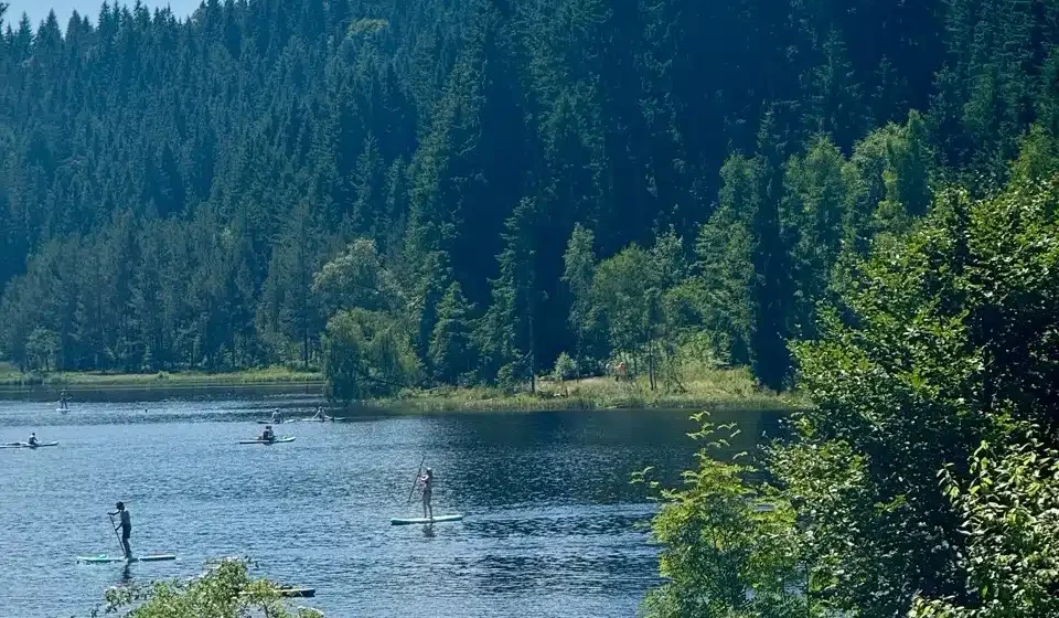 Sommer im Schwarzwald